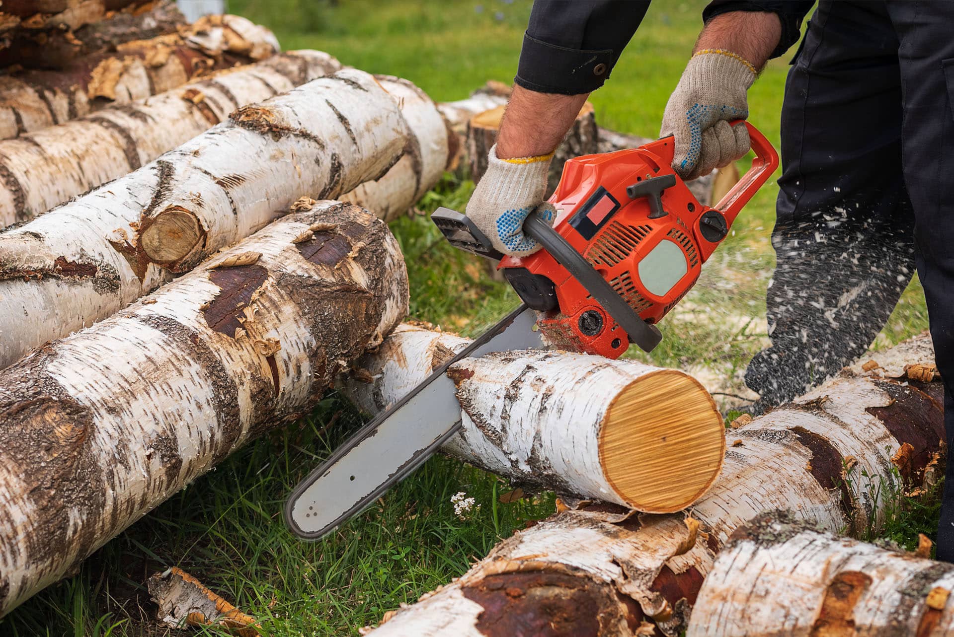 sawn-and-treated-timber-rough-sawn-man-logs